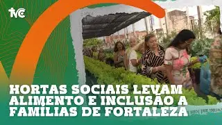 Hortas Sociais levam alimento e inclusão a famílias de Fortaleza