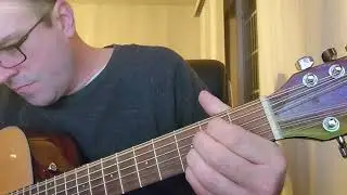 Best Christmas present 🎁  12 string action