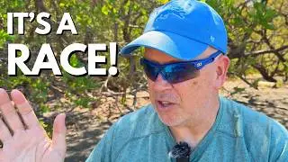 Your Channel Isn't Stuck &mdash; It&rsquo;s in a Race!