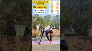 2 exercise benefits for curve waist 100 time daily do this no jumping no running #exercise #shorts