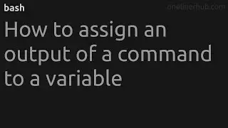 How to assign an output of a command to a variable #bash