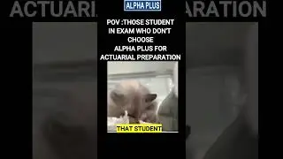 Когда готовишься к актуарным экзаменам без Alpha Plus 😂