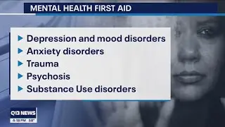 Renton Chamber of Commerce teaches mental health first aid