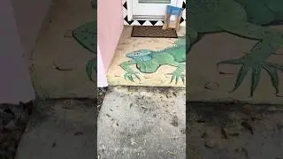 Очень круто расписанное крыльцо во Флориде