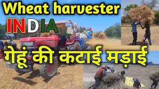 Village Farming🌾|| Wheat Harvesting Mill in Village 🧺|| Gaw ke logo ki Mehnat💪||Agriculture 🚜.