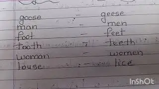 Singular and plural DSC SA 2 English syllabus 4th class English textbook grammar explained in Telug