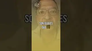 Deja de Llamar a Todos T&oacute;xicos: El Poder del Perd&oacute;n en Dios