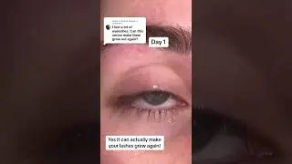 Yes the Lash by Maya serum can actually make your lashes grew back! 💖