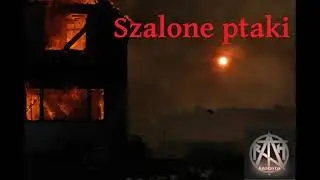 Taroth - Szalone ptaki