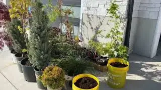 Planning and Implementing the new Therapy Garden // May 2025