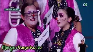 Murga Las Marchilongas 2024 | 2ª Fase de Murgas Adultas de Santa Cruz de Tenerife