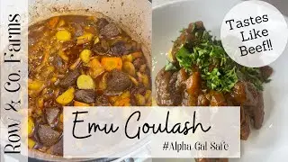Homestead Meal Emu Goulash | Cook with Me |AlphaGal Safe Eating
