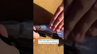Reverse psychology fishing! #fish #shorts #fishing