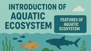 Introduction of Aquatic Ecosystem | Features of Aquatic Ecosystem | Energy & Environment Engineering