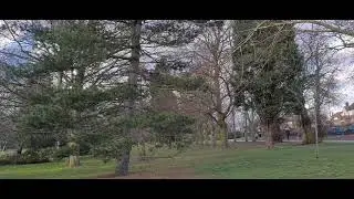 Danson Park - Sat 07th Feb 2021 🙂🌳🏞👟(2)