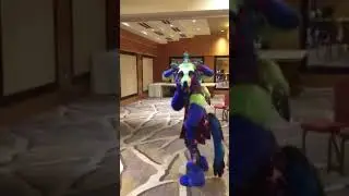 Texicoco Magic