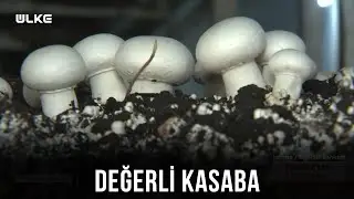 Burada Tonlarca Mantar Üretiyoruz😊 - Topraktan Sofraya