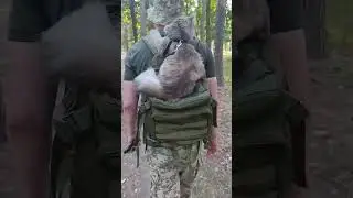 Combat CATS of the Armed Forces of Ukraine;)#cat #togetherforvictory #slavazsu