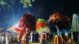 ടീം വടക്കുംനാഥൻ കാവടി ചന്തം 