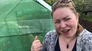 May 2019 Plot Tour: featuring weeds, new plants and a bee swarm!