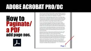How to paginate a PDF (add pages numbers and date)
