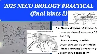 2025 NECO BIOLOGY PRACTICAL (final hints 2)