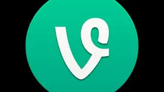 Top 10 Vine Stars