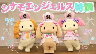 シナモエンジェルスがいろいろなトレーニングに挑戦！【公式】