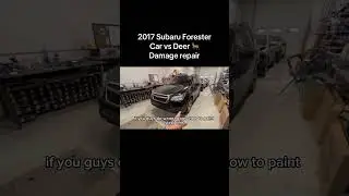 Subaru assembly after collision with a deer #viralvideo #beforeandafter #shortsfeed #project #varal