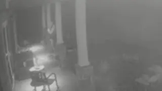 Surveillance video appears to show delivery driver taking pet chihuahua from front yard