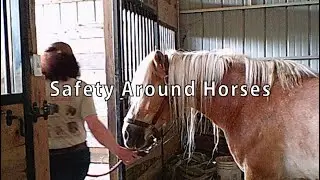 Safety Around Horses - Hooked on Horses(sm) Series
