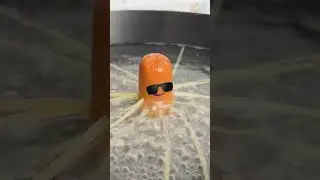 Sausage Became Octopus! 🐙🌭✨ #fun #food