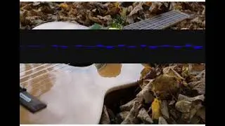 Soloorgan Whistling pgpbacvilg
