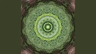 A manifestation of divine awareness