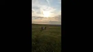Прогулка на закате на Белой Скале