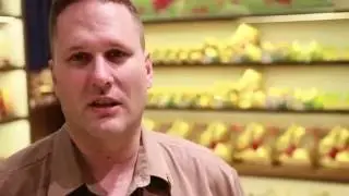 Cleancorp Testimonials 'take 1'