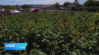 Inside SoCal Sunday Morning: 10/10