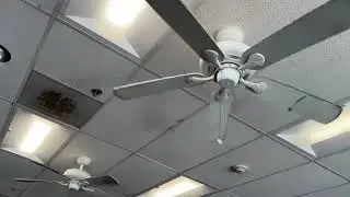 Hampton Bay Quick Connect Ceiling Fans at Disc Replay