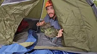 Camping In A Burnt Forest On An Old Logging Road In BC