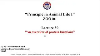 Course: Principle in Animal Life- I. Lecture 30: An Overview of Protein Functions