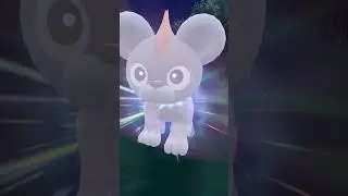Shiny Litleo Evolves Into Pyroar