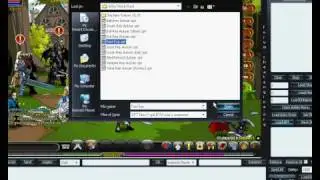 Aqw Hack