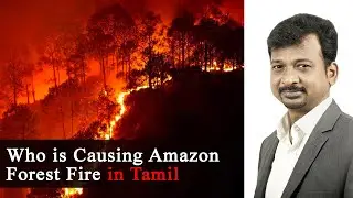 Israel Jebasingh | Who is Causing Amazon Forest Fire | Tamil