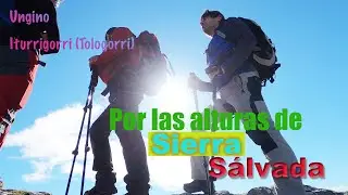 Ungino Tologorri