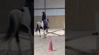 Cute little jump🤗 #jumping#crossrail#equestrianlife#horserider#equine#pony#lotto