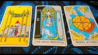 SCORPIO   THEY ARE SERIOUSLY YEARNING FOR YOU! 🔥25 NOVEMBER 2024 DAILY TAROT
