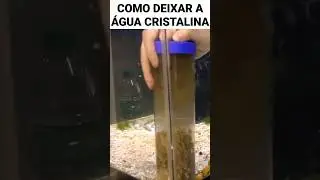 AGORA &Eacute; F&Aacute;CIL FAZER LIMPEZA NO AQU&Aacute;RIO.