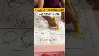 Big or Small? Fun Size Learning Activity for Kids| Free Printable Series!