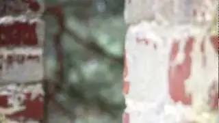 Ekososiaalinen sivistys