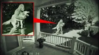 Bigfoot Like Creature Caught Stealing Dog In Woman's Backyard | 